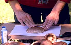 press the painted mushroom onto the paper press the painted mushroom onto the paper
