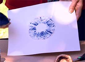 the result of one mushroom stamp the result of one mushroom stamp