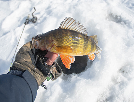ice fishing lot - Fishing - De Pere, Wisconsin