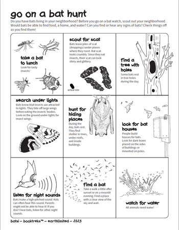 Going Batty: How to Choose the Right Bat for Your Work